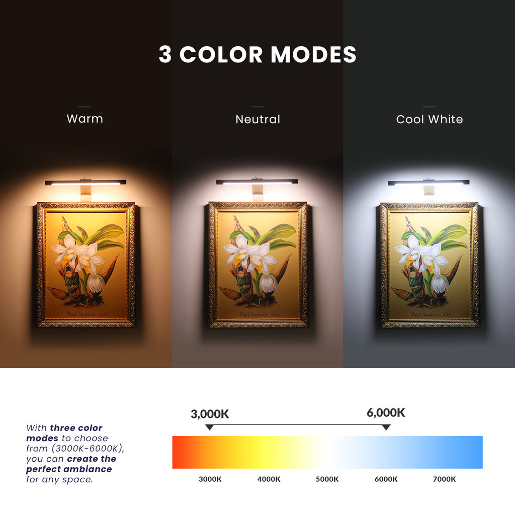 17" Modern Picture Light, Plug In Picture Frame Light, Dimmable Picture Lights for Wall Art, Picture Frame Art Light for Paintings, Gallery, Bedroom, 3 Color Modes - Silver