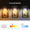 18” Modern Dimmable Picture Light, Plug-In Wall Art Lamp with 3 Color Modes – Gold
