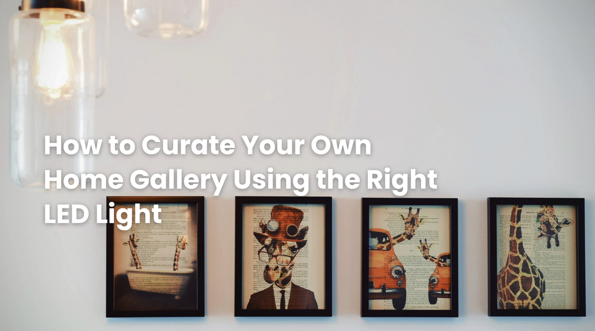 How to Curate Your Own Home Gallery Using the Right LED Light – Neatfi