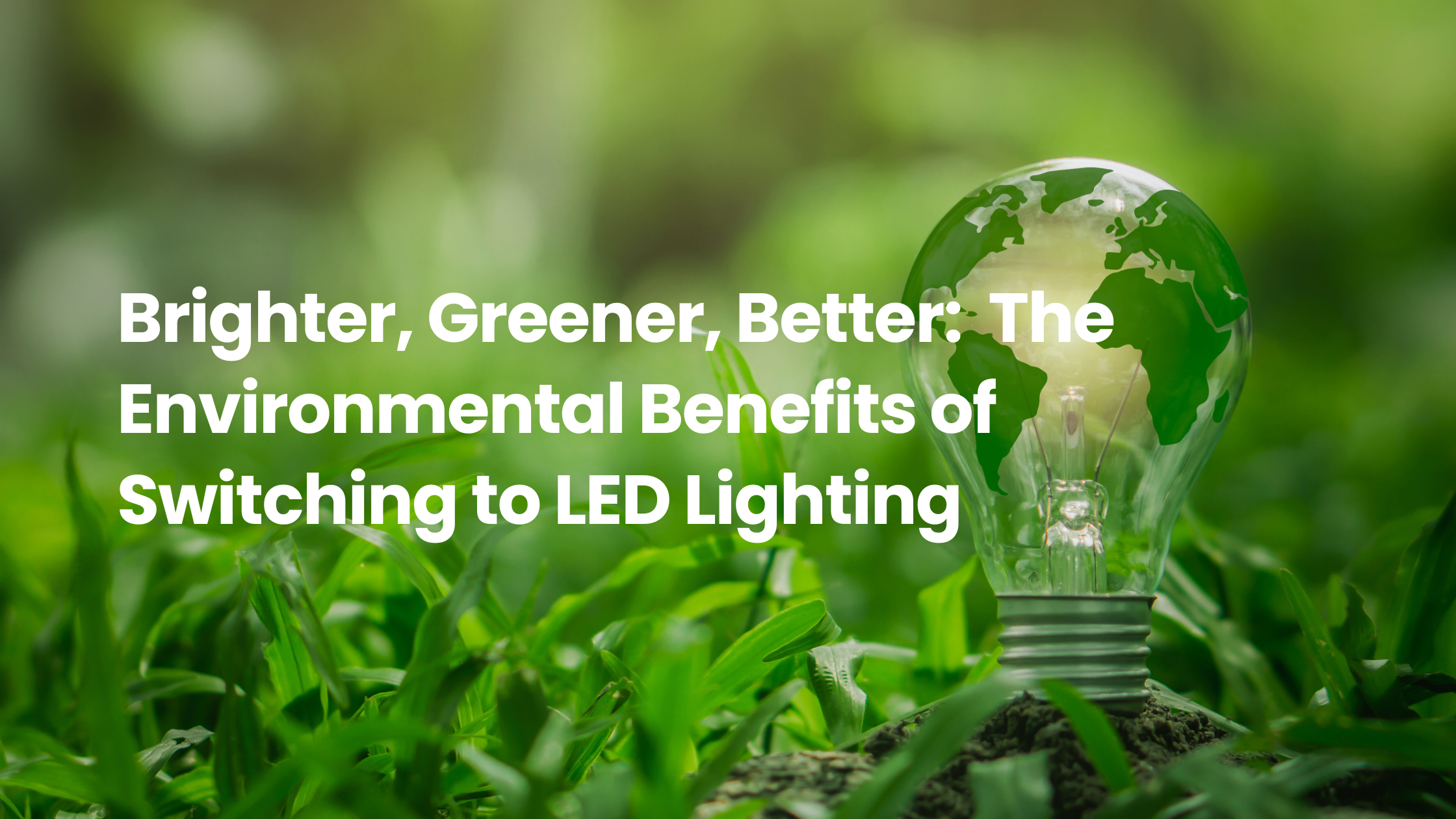 Light bulb with a green Earth design placed in grass, symbolizing the environmental benefits of switching to energy-efficient LED lighting.