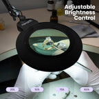Pro Series XL Bifocal LED Magnifying Lamp – 5D/20D, CRI 95, Dimmable, Adjustable Arm, Black