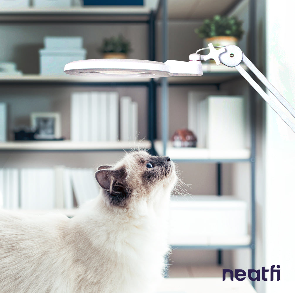 7” Wide Acrylic Lens LED Magnifying Lamp with Clamp – 1600 Lumens, Dimmable for Close Works, White