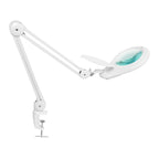 Lámpara de aumento de lente de vidrio de 7 pulgadas con abrazadera, 5 dioptrías, lupa con luz para costura, pintura, fabricación de joyas y lectura - Blanca
