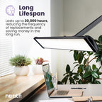 Desk setup with a laptop, plants, and neatfi 26inches black lamp with text about long lifespan 