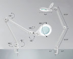 5" Wide Bifocals Lens – 1200 Lumens LED Magnifying Lamp for Crafts & Detail Works, Clamp Mount, White