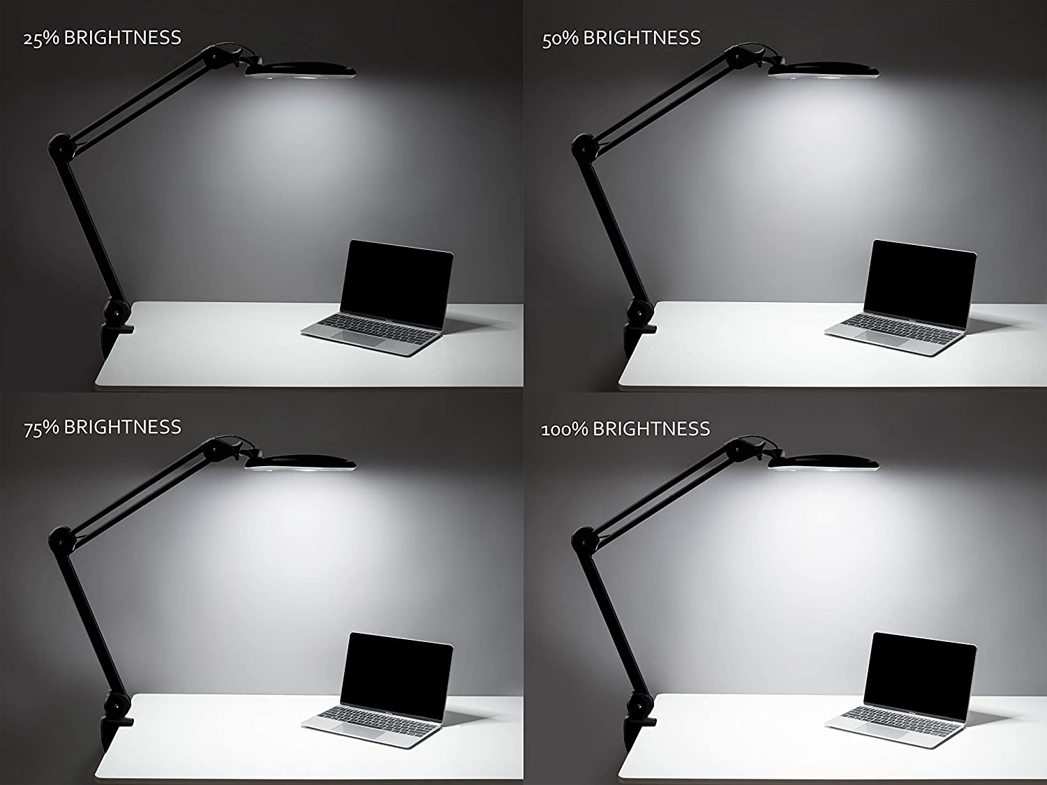 5" Wide Bifocals Lens – 1200 Lumens LED Magnifying Lamp for Crafts & Detail Works, Clamp Mount, Gray