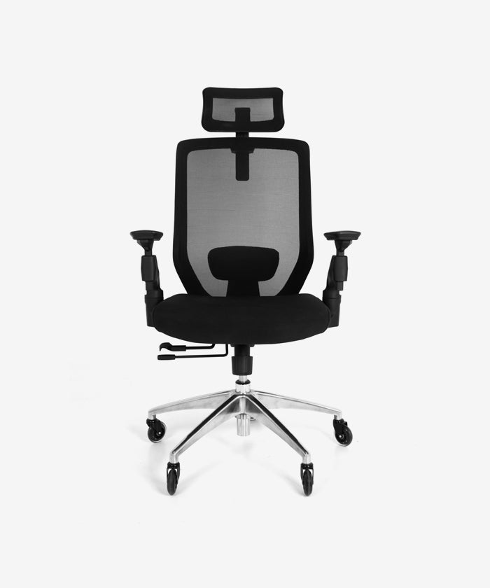 Zen Office Chair 4D Armrests, 2D Headrest, Lumbar Support and Seat Sliding, High Back Mesh Chair with Nylon Back Frame (Black)
